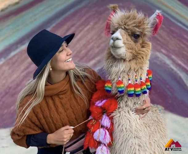 Andean Souvenirs: Local Culture and Fauna