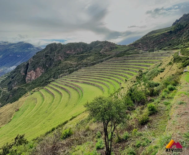 Pisac Arqueológico: Ingenio en Terrazas Curvas