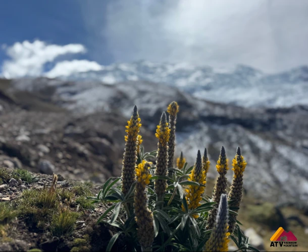 Turquoise Colored Glacial Lakes