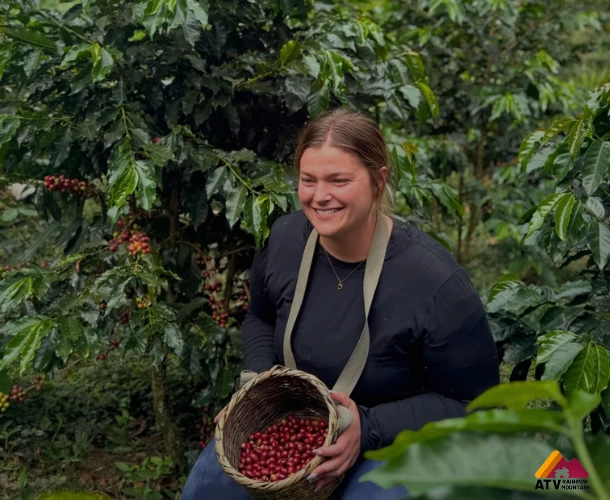 The Arabica Grain in its Natural Habitat