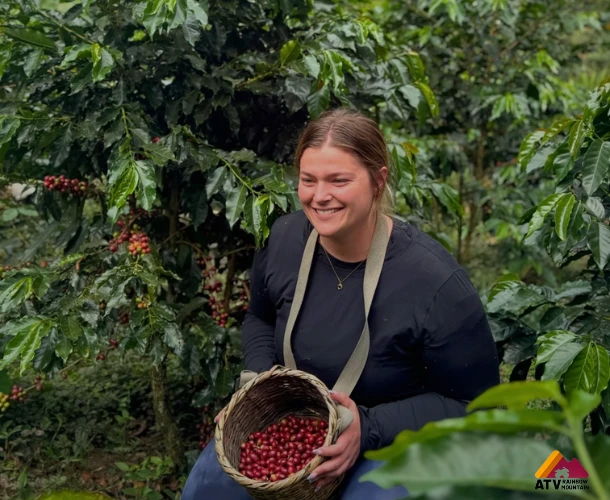 Conexión con el Cultivo Sostenible del Café