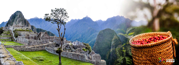 Coffee and Machu Picchu Route – Map of Aromas, History and Adventure