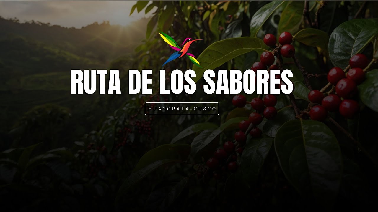 Inmersión en las Plantaciones Orgánicas