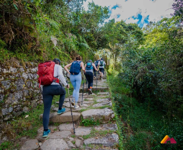 The Majestic Citadel of Machu Picchu