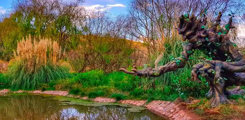 The Adventure and Flavor Route on ATV